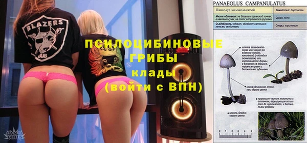 гашиш Белокуриха