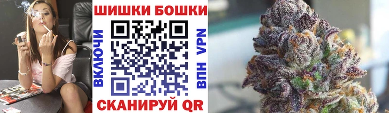 магазин продажи наркотиков  Светлогорск  Бошки Шишки семена 